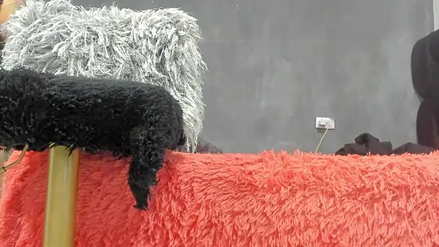 SandraGoldstein online show from March 13, 1:21 am