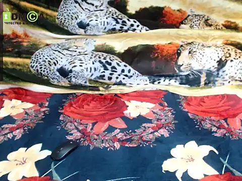 Queen Sarah online show from December 13, 8:04 pm