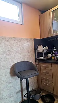 rposhta1991 online show from March 14, 10:54 am