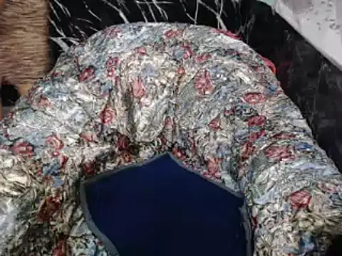 ASIANDOLLY4U online show from February 2, 10:31 pm