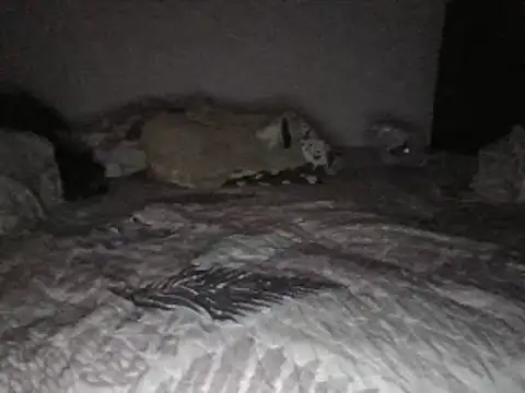 bscc online show from January 31, 12:07 pm