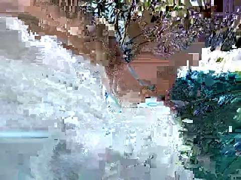lilpervt online show from June 11, 12:32 am
