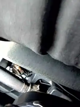 Snapshot of LifeLineSL chatting on March 4, 6:32 am LifeLineSL online show from March 4, 6:32 am