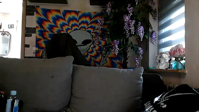 RoxxyInk online show from November 12, 11:03 am