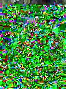 sissyvee online show from January 15, 5:00 am