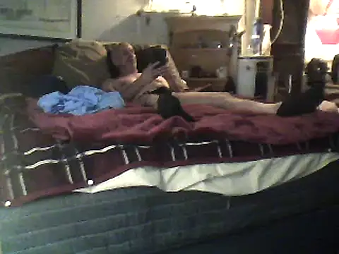 Snapshot of Biknight chatting on February 12, 4:44 am Biknight online show from February 12, 4:44 am