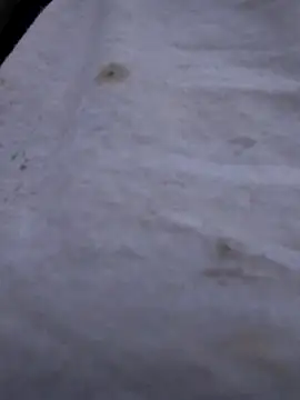 Biknight online show from October 21, 2:38 pm