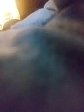 Biknight online show from January 7, 6:29 am