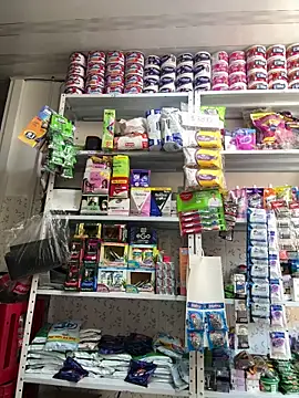 Snapshot of emilyjohanson chatting on December 17, 3:50 pm emilyjohanson online show from December 17, 3:50 pm