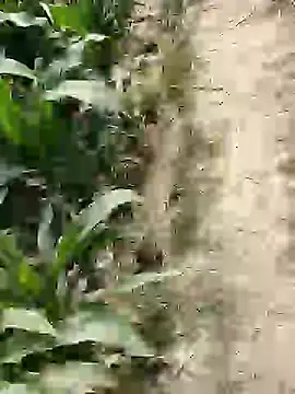 ThethunderPo online show from February 25, 7:41 am