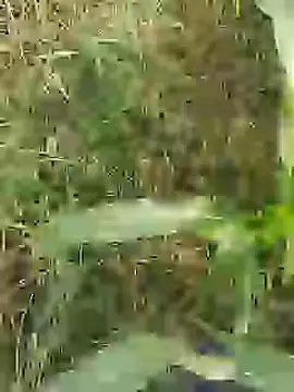 ThethunderPo online show from March 29, 2:57 am