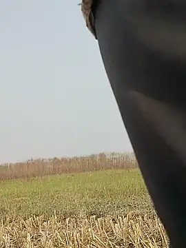 Snapshot of ThethunderPo chatting on November 16, 4:39 am ThethunderPo online show from November 16, 4:39 am