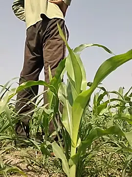 ThethunderPo online show from March 2, 7:37 am