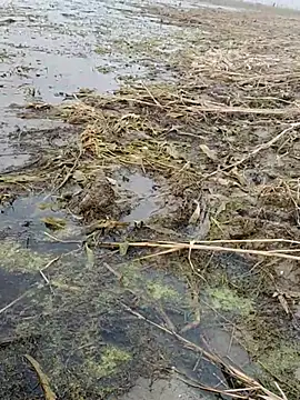 ThethunderPo online show from January 6, 11:14 am