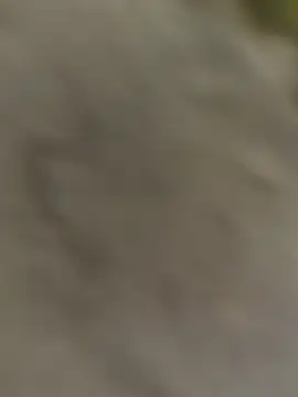 Snapshot of ThethunderPo chatting on October 31, 3:25 am ThethunderPo online show from October 31, 3:25 am