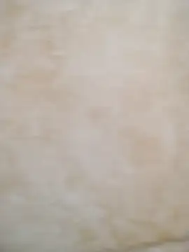 Camilatinass  online show from April 3, 11:27 am