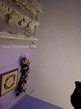 UncutHammer69 online show from December 20, 7:44 am