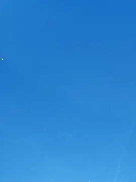 UncutHammer69 online show from April 7, 4:20 pm