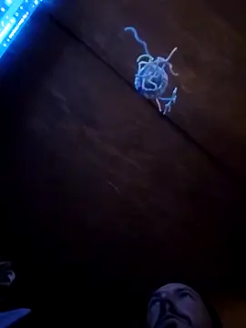 UncutHammer69 online show from April 9, 3:07 pm