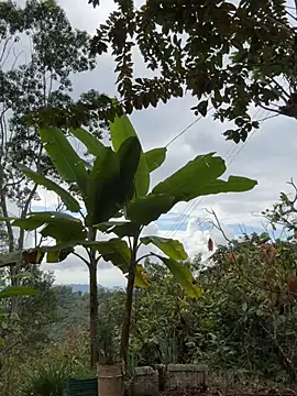 LINDA PATTY94 online show from March 11, 8:36 pm