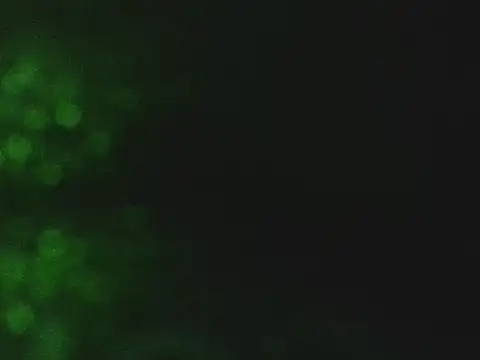 lonelycock33 online show from November 7, 9:41 pm