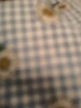 geilerboy2628 online show from March 10, 12:36 am