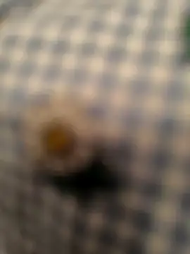 geilerboy2628 online show from March 13, 2:16 am