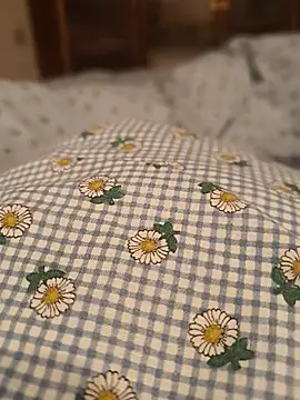 geilerboy2628 online show from April 4, 11:11 pm