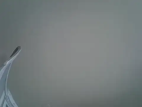 Snapshot of DitaVira chatting on March 18, 1:34 pm DitaVira online show from March 18, 1:34 pm