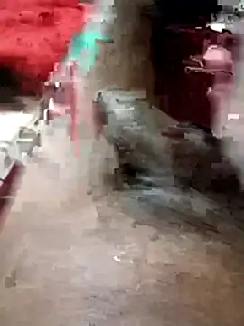 Bengali BULL1 online show from March 1, 5:35 pm