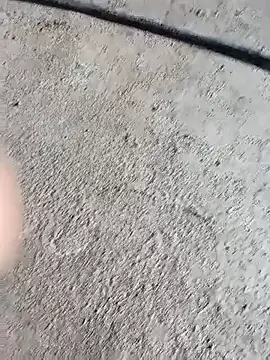 Snapshot of Bengali_BULL1 chatting on October 4, 5:09 am Bengali BULL1 online show from October 4, 5:09 am