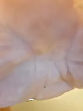 Snapshot of ThickDMatty@xh chatting on November 1, 4:41 am ThickDMattyxh online show from November 1, 4:41 am