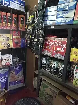 Kalani Engel online show from April 19, 5:30 am