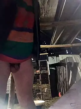 sarpe4 online show from March 30, 4:30 pm