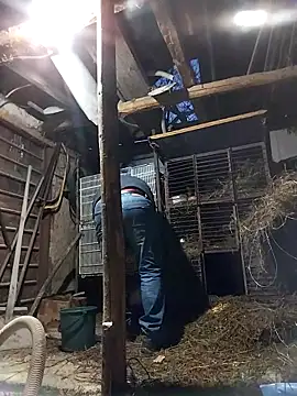 sarpe4 online show from February 19, 4:15 pm