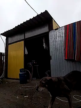 Snapshot of sarpe4 chatting on November 9, 9:02 am sarpe4 online show from November 9, 9:02 am