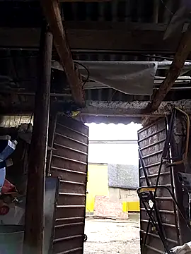 Snapshot of sarpe4 chatting on October 4, 5:20 am sarpe4 online show from October 4, 5:20 am