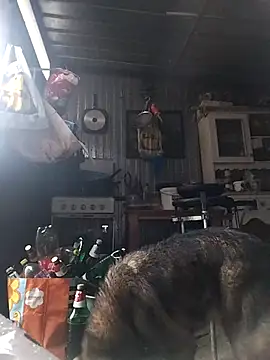 sarpe4 online show from February 15, 3:00 pm