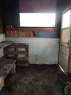 sarpe4 online show from February 28, 6:57 am