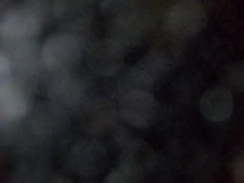 sarpe4 online show from March 28, 1:56 pm