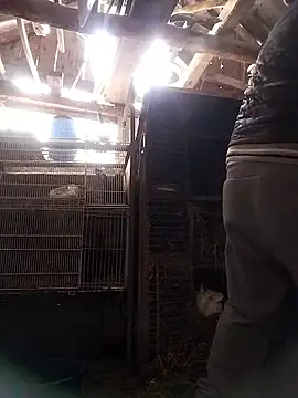 sarpe4 online show from January 10, 8:20 am