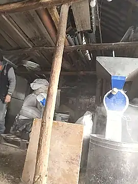 sarpe4 online show from January 8, 7:58 am