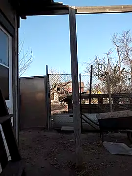 sarpe4 online show from April 15, 3:38 pm