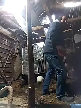 sarpe4 online show from February 21, 5:20 am