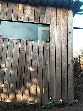 Snapshot of sarpe4 chatting on September 21, 5:12 am sarpe4 online show from September 21, 5:12 am