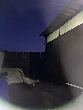 sarpe4 online show from March 13, 4:56 pm