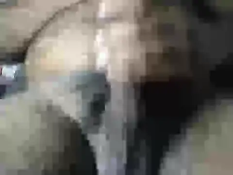 Jordy921 online show from February 3, 1:27 pm