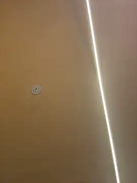 Gatitacarlita online show from November 26, 10:26 am