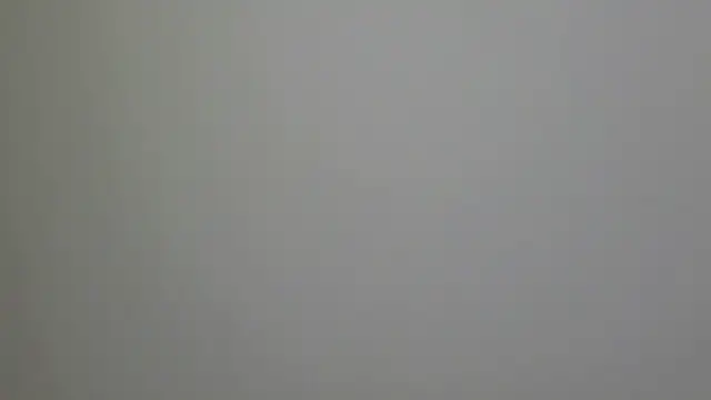 WetFlower69 online show from February 16, 3:27 pm