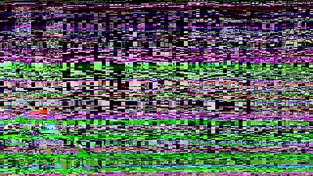 leadileo online show from October 27, 3:13 pm